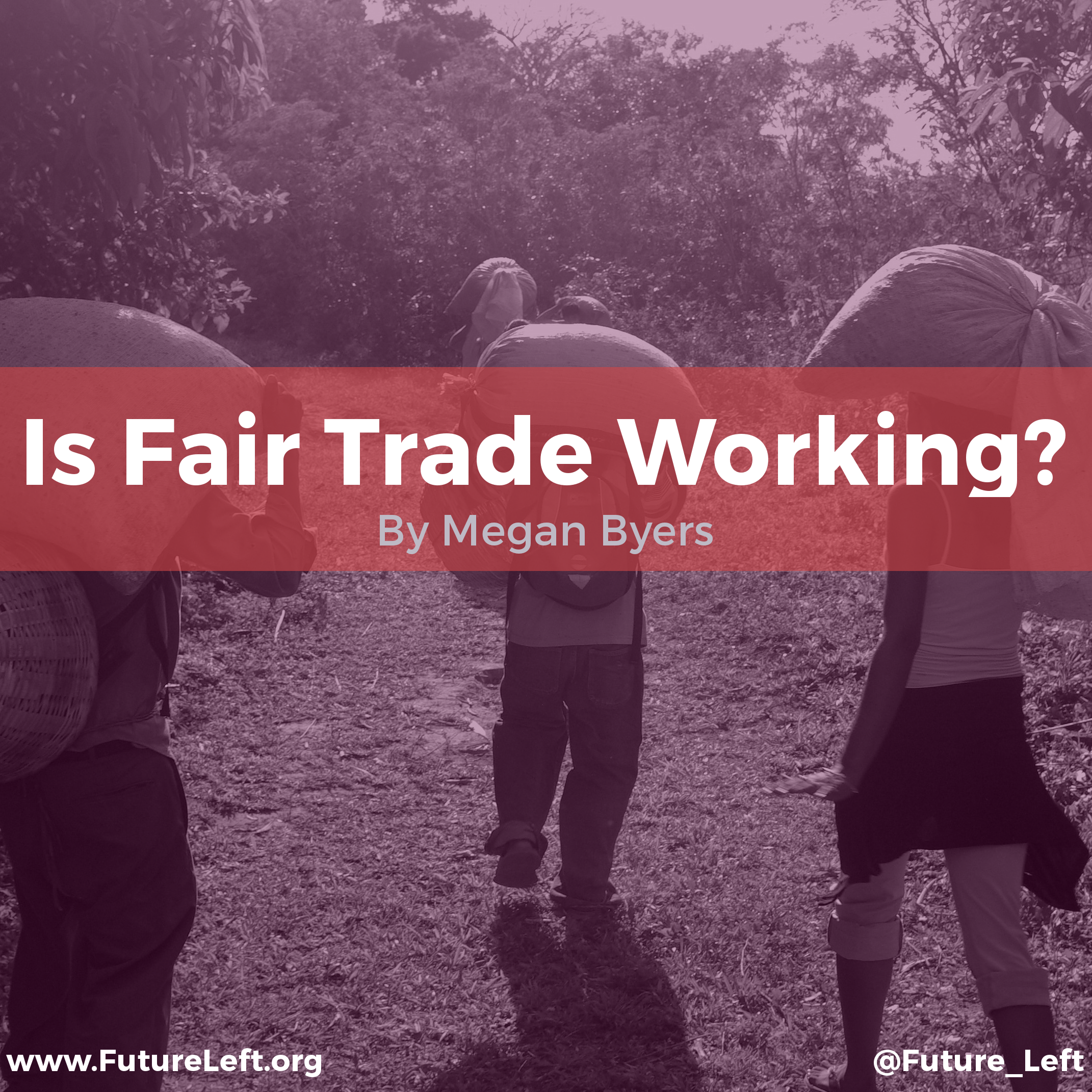 Is Fair Trade Working?